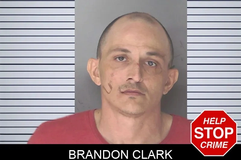 Brandon Clark Mugshots