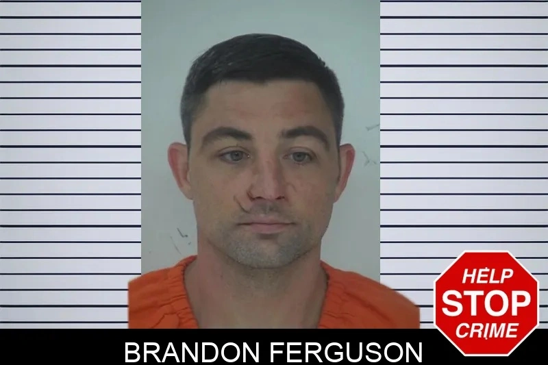 Brandon Ferguson mugshot