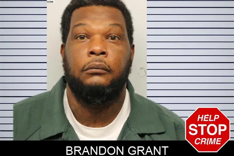 Brandon Grant Mugshots