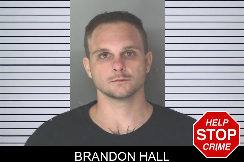 Brandon Hall Mugshots