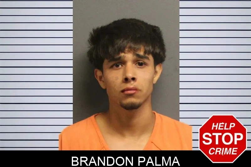 Brandon Palma Mugshots