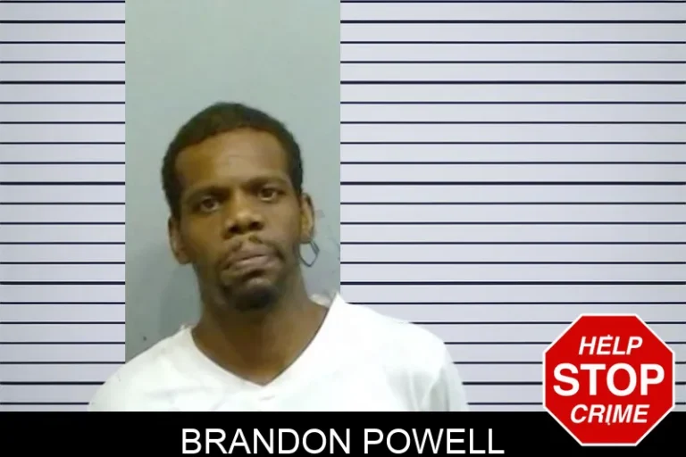 Brandon Powell