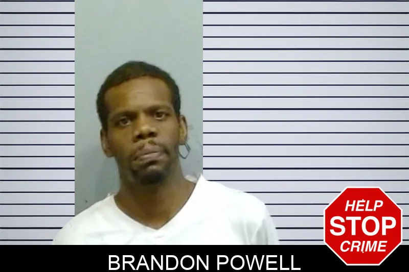 Brandon Powell Mugshots