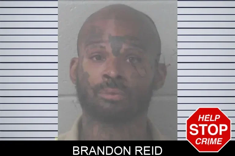 Brandon Reid