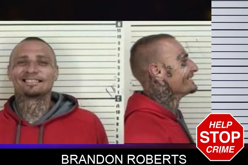 Brandon Roberts Mugshots