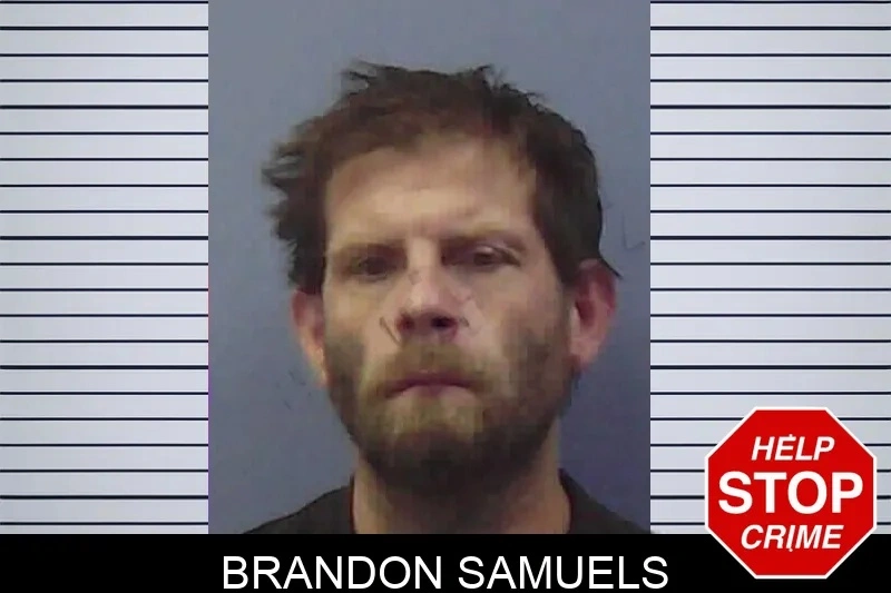 Brandon Samuels Mugshots