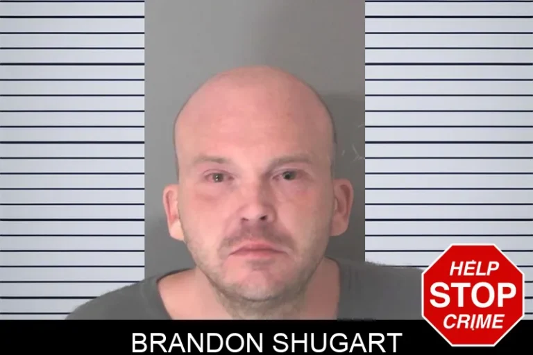 Brandon Shugart