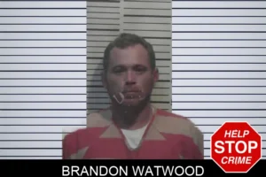 Brandon Watwood mugshot