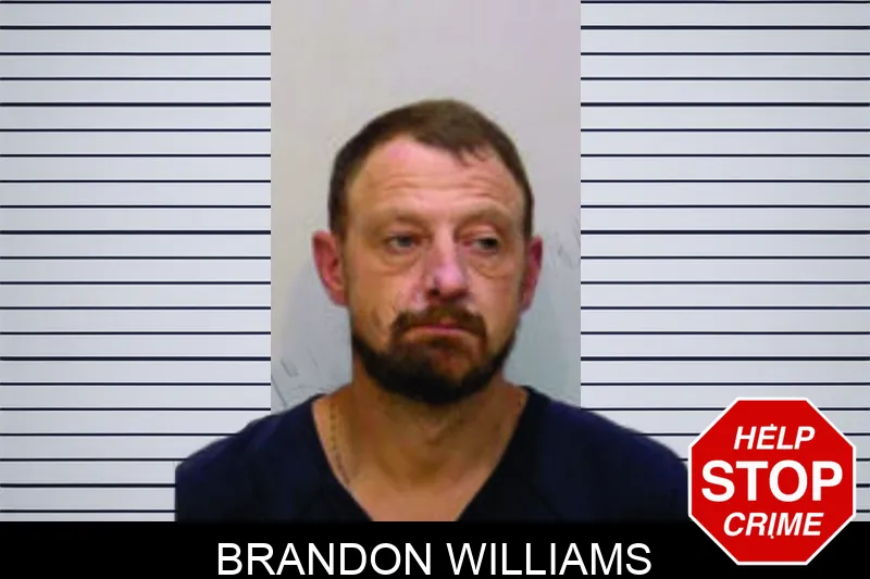 Brandon Williams mugshot