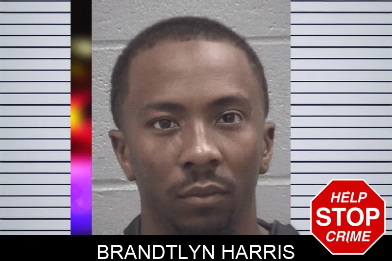Brandtlyn Harris Mugshots