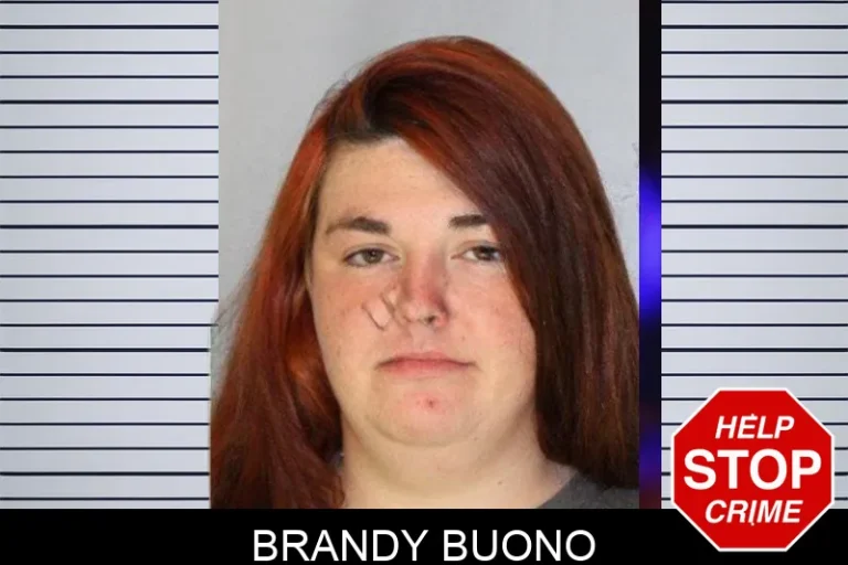 Brandy Buono mugshot – Hall County , Georgia Brandy Buono