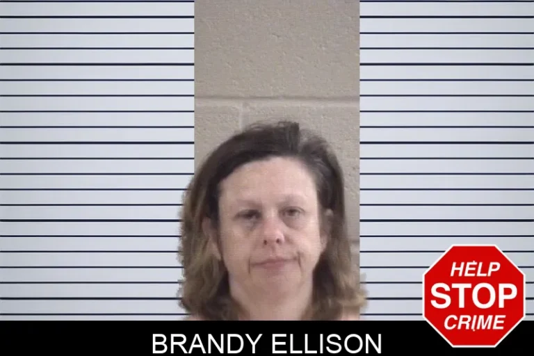 Brandy Ellison