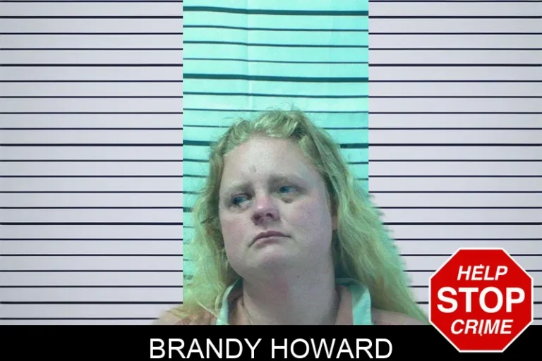 Brandy Howard