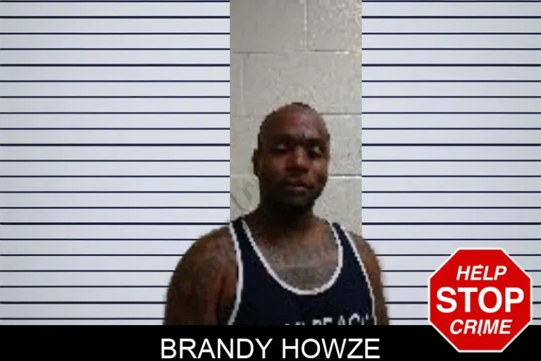 Brandy Howze