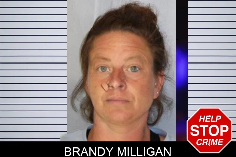 Brandy Milligan Mugshots