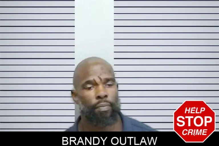 Brandy Outlaw mugshot – Fulton County , Georgia Brandy Outlaw