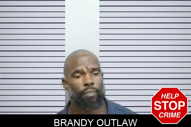 Brandy Outlaw mugshot – Fulton County , Georgia Brandy Outlaw mugshot