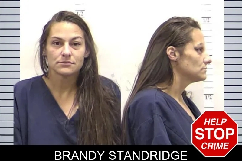 Brandy Standridge Mugshots