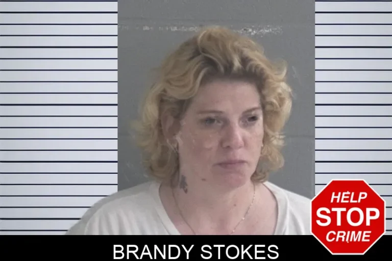 Brandy Stokes