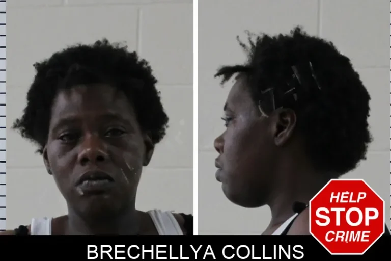 Brechellya Collins