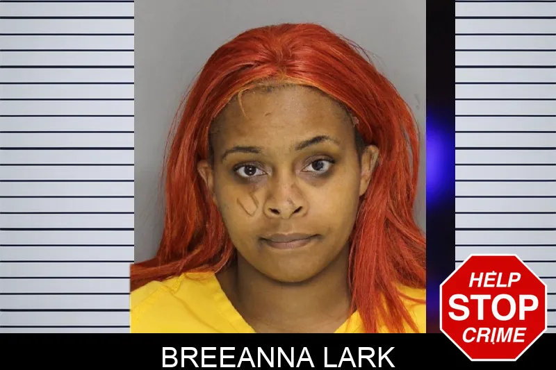 Breeanna Lark Mugshots