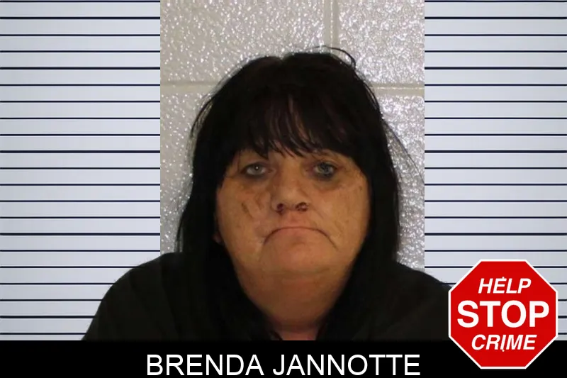 Brenda Jannotte mugshot – Carroll County , Georgia Brenda Jannotte mugshot
