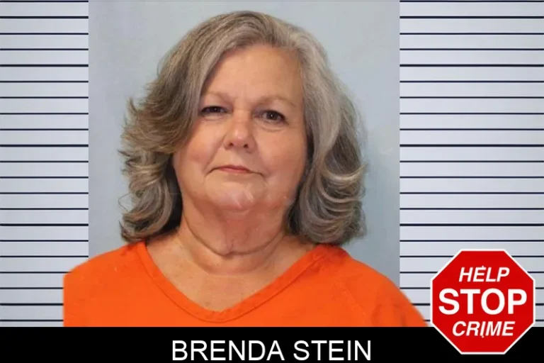 Brenda Stein