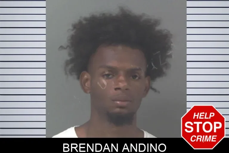 Brendan Andino