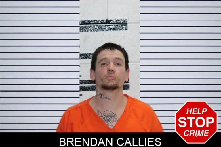 Brendan Callies mugshot – Murray County , Georgia Brendan Callies