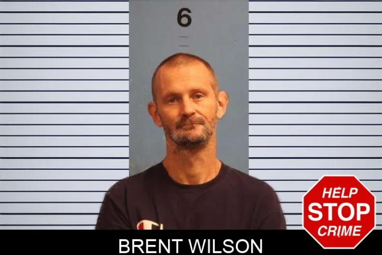 Brent Wilson