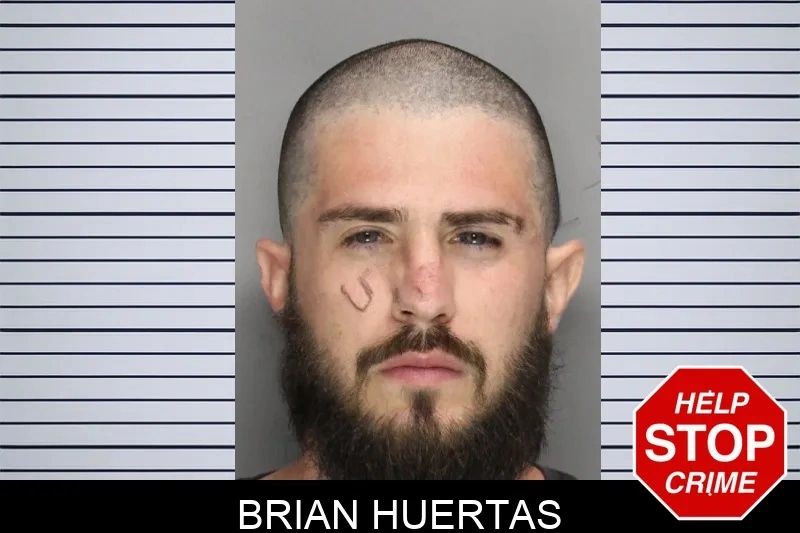 Brian Huertas Mugshots