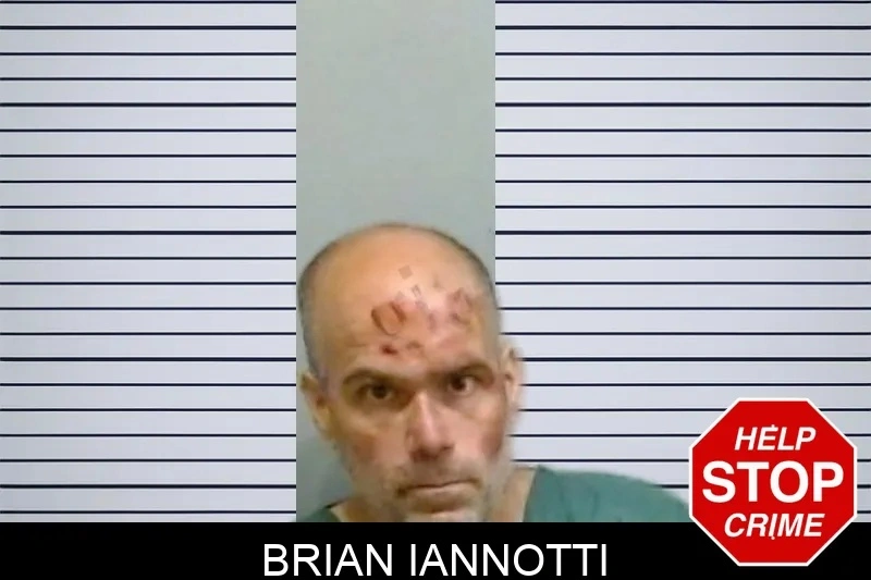 Brian Iannotti mugshot