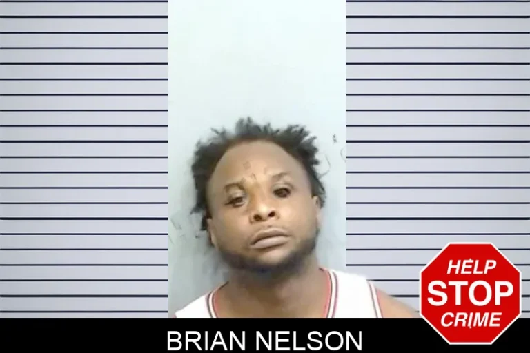 Brian Nelson mugshot – Fulton County , Georgia Brian Nelson