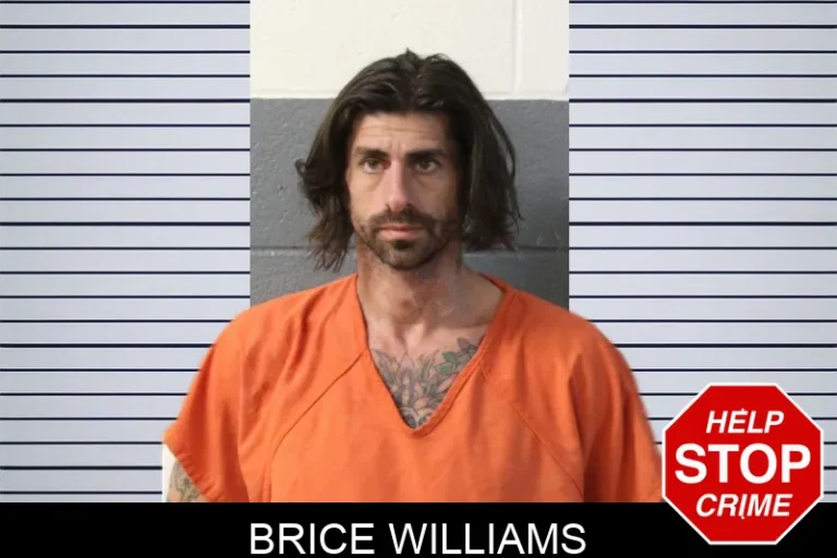 Brice Williams