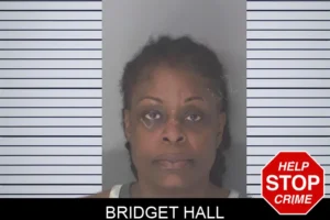 Bridget Hall mugshot