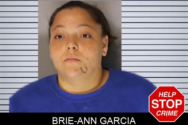 Brie-Ann Garcia mugshot – Hall County , Georgia Brie-Ann Garcia