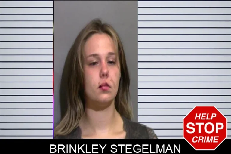 Brinkley Stegelman mugshot – Glynn County , Georgia Brinkley Stegelman