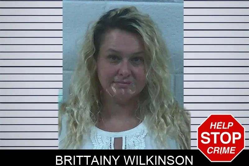 Brittainy Wilkinson Mugshots