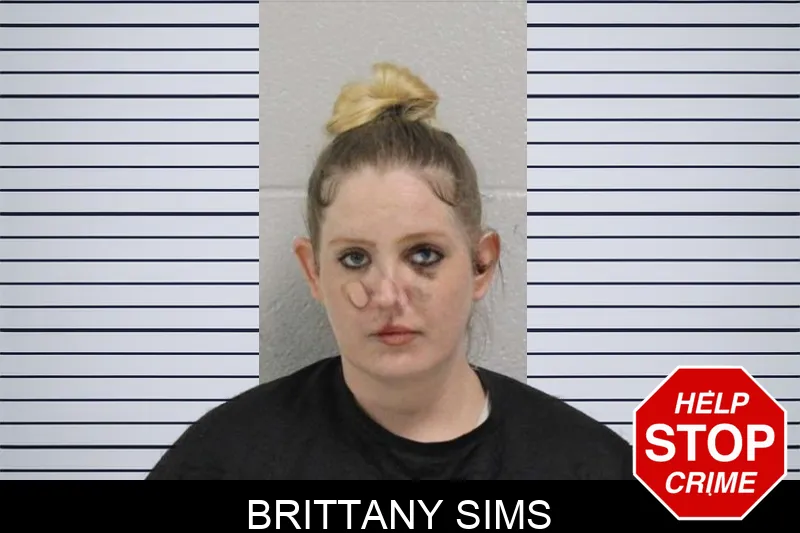 Brittany Sims mugshot – Carroll County , Georgia Brittany Sims mugshot
