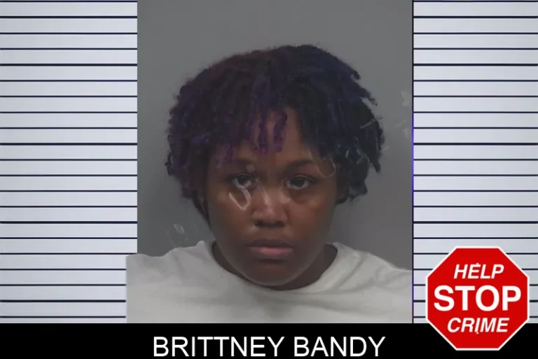 Brittney Bandy mugshot – Gwinnett County , Georgia Brittney Bandy