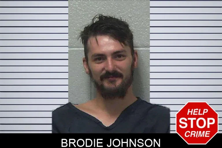 Brodie Johnson mugshot – Gilmer County , Georgia Brodie Johnson