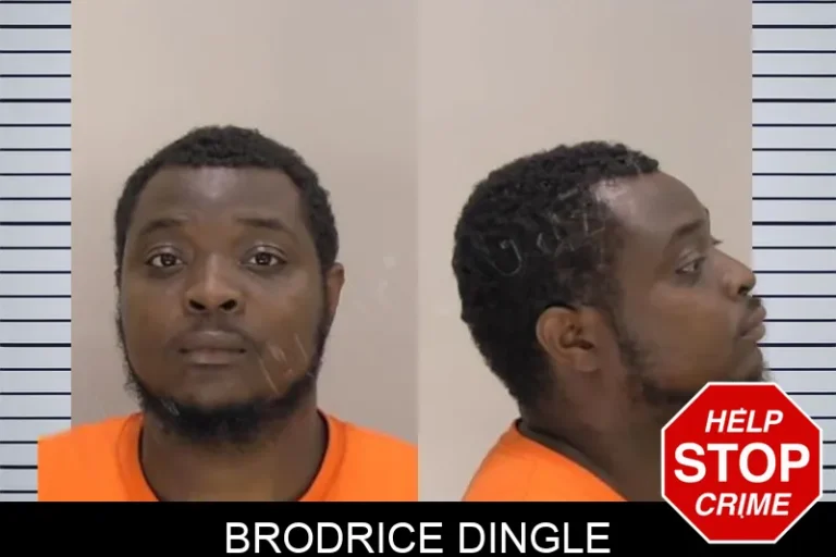 Brodrice Dingle