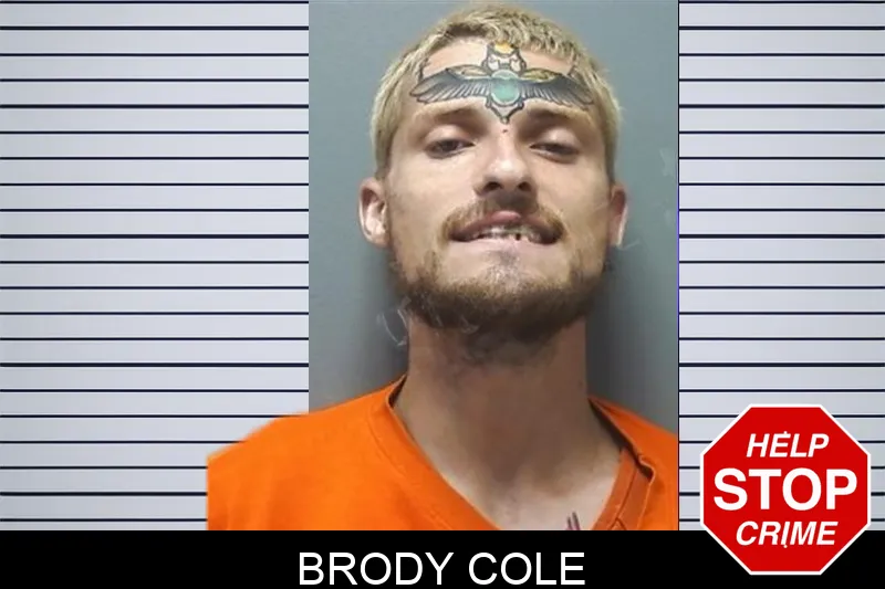 Brody Cole Mugshots