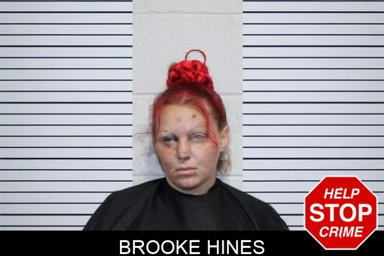 Brooke Hines mugshot – Habersham County , Georgia Brooke Hines