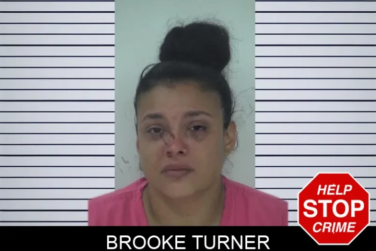Brooke Turner mugshot – Fayette County , Georgia Brooke Turner