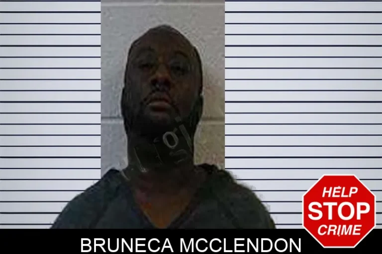 Bruneca McClendon