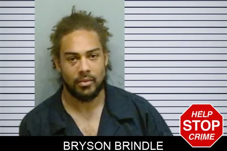 Bryson Brindle mugshot – Fulton County , Georgia Bryson Brindle