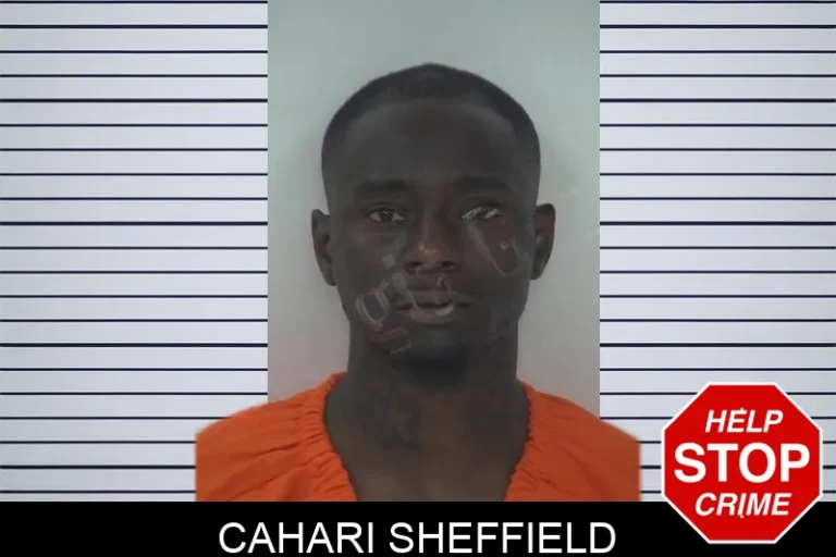 Cahari Sheffield