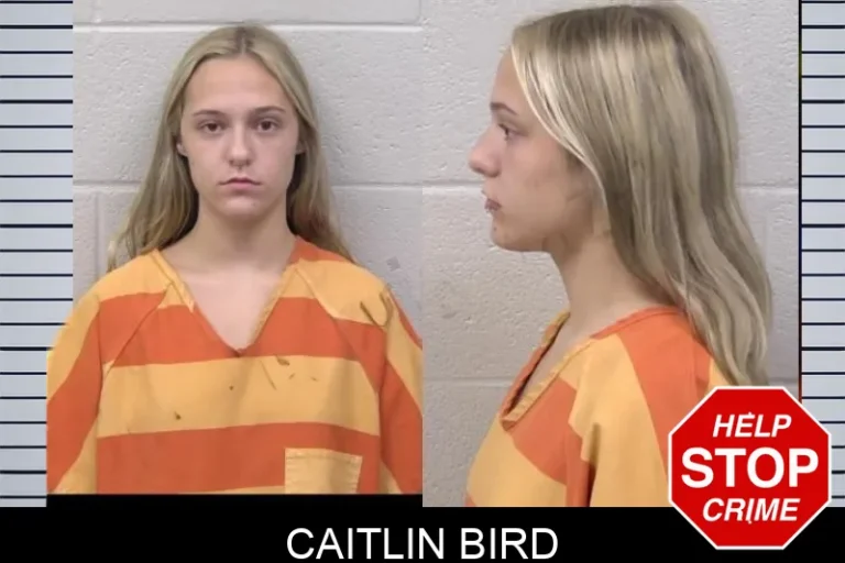 Caitlin Bird
