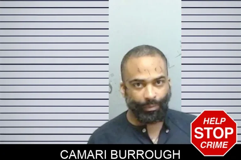 Camari Burrough mugshot – Fulton County , Georgia Camari Burrough